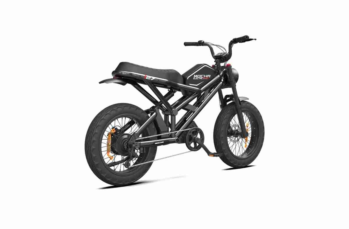 Electric Bike Thick Tyres dealers