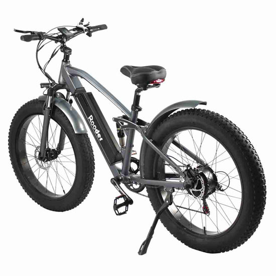 Electric Bike With Thick Tires dealers