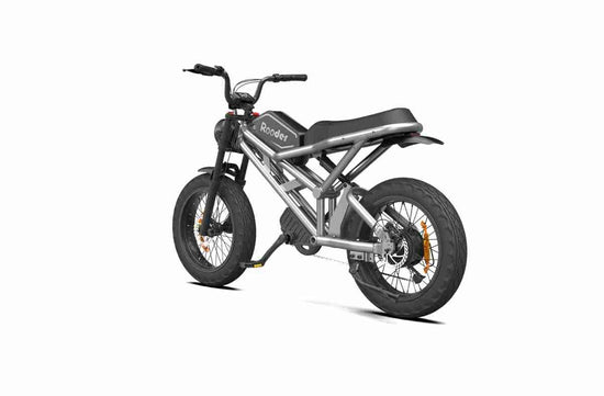 Electric Bikes For Adults dealers