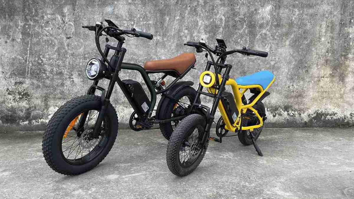 Electric Cycle Fat Bike dealers