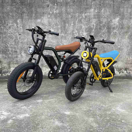 Electric Fat Bike For Sale dealers