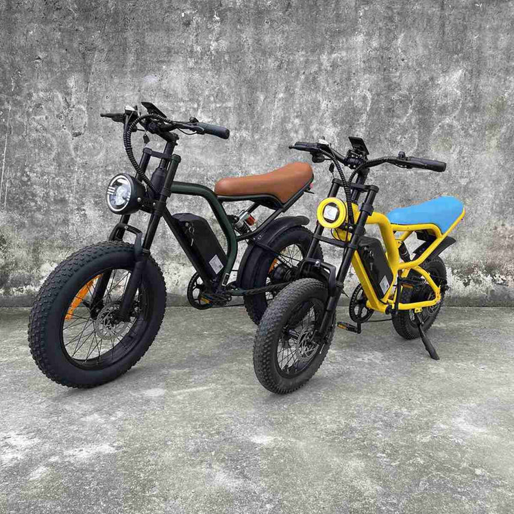 Electric Fat Bike For Sale dealers