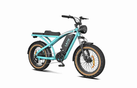 Electric Fat Bike Snow dealers