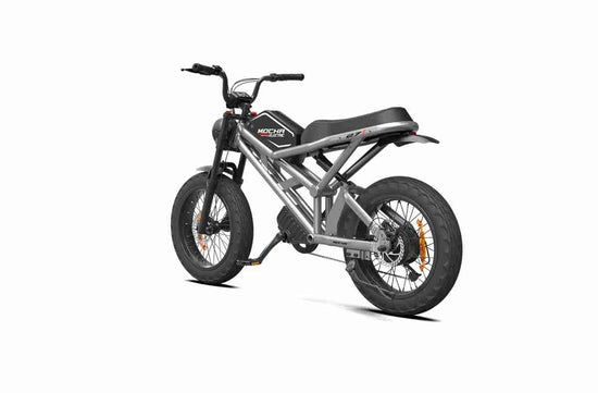 Electric Fat Tire Bike dealers