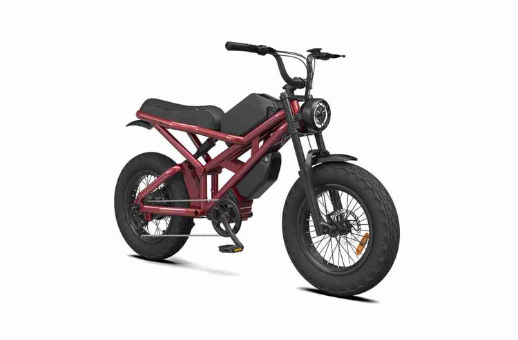 Electric Fat Tire Ebike dealers