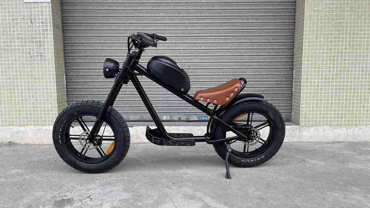 Electric Fat Tyre Bike For Sale dealers