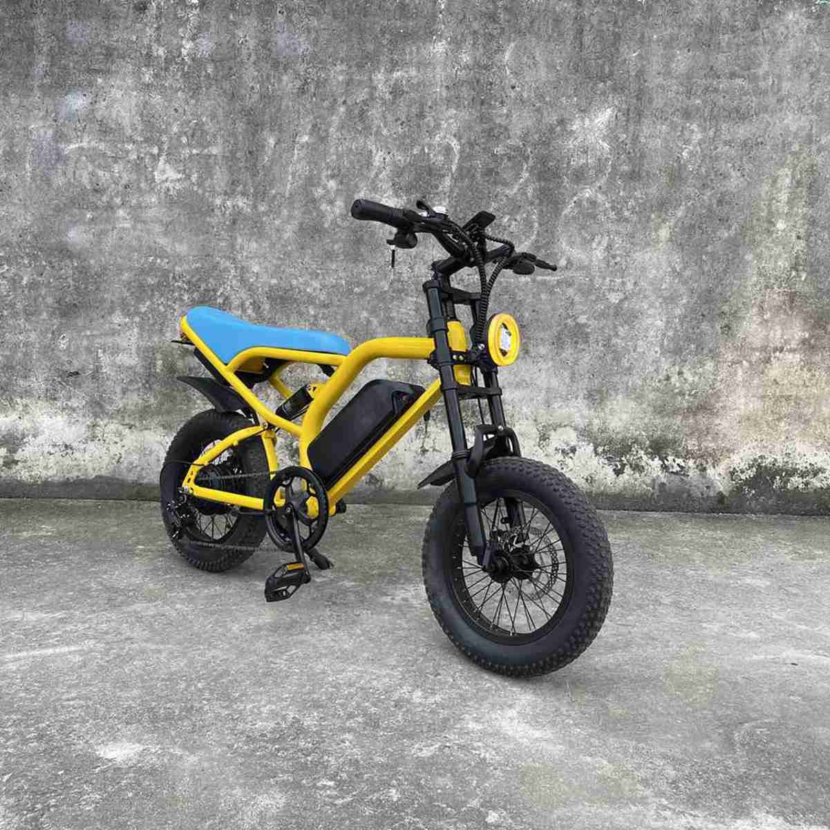 Electric Off Road Bike dealers