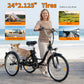 Electric Cargo Tricycle | 3-Wheel City Ebike for Adults & Delivery