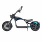 Elektroroller Chopper Mangosteen M1P 45-60km/h CE EEC COC for Sale 16