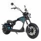 Elektroroller Chopper Mangosteen M1P 45-60km/h CE EEC COC for Sale 18