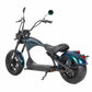 Elektroroller Chopper Mangosteen M1P 45-60km/h CE EEC COC for Sale 21