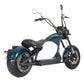 Elektroroller Chopper Mangosteen M1P 45-60km/h CE EEC COC for Sale 22