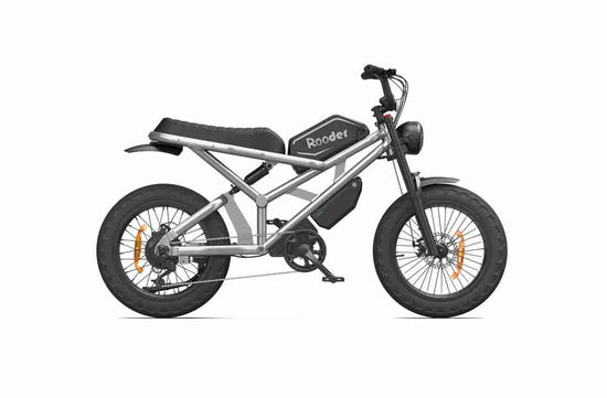 Fat Bike Ebike dealers