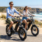 Fat Tire Electric Bike 48V 15A NFC 25KM/H EU CE for Sale