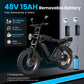 Fat Tire Electric Bike 48V 15A NFC 25KM/H EU CE for Sale