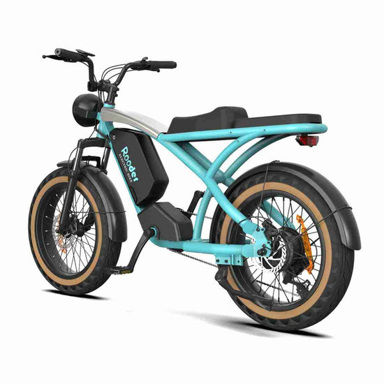 Foldable Electric Bike Adult dealers