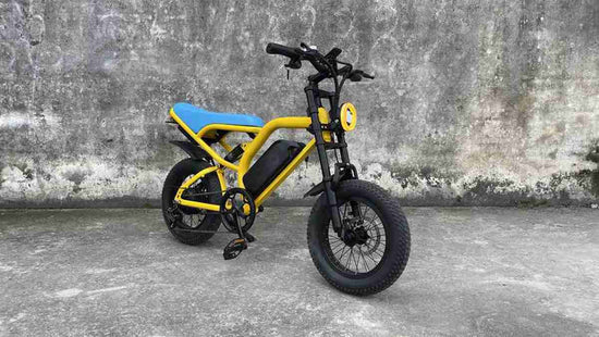 Folding Step Through Electric Bike dealers