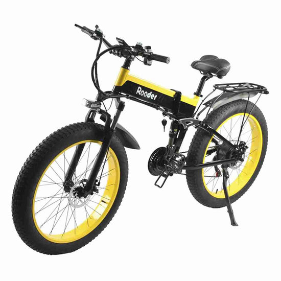 Full Size Folding Electric Bike dealers