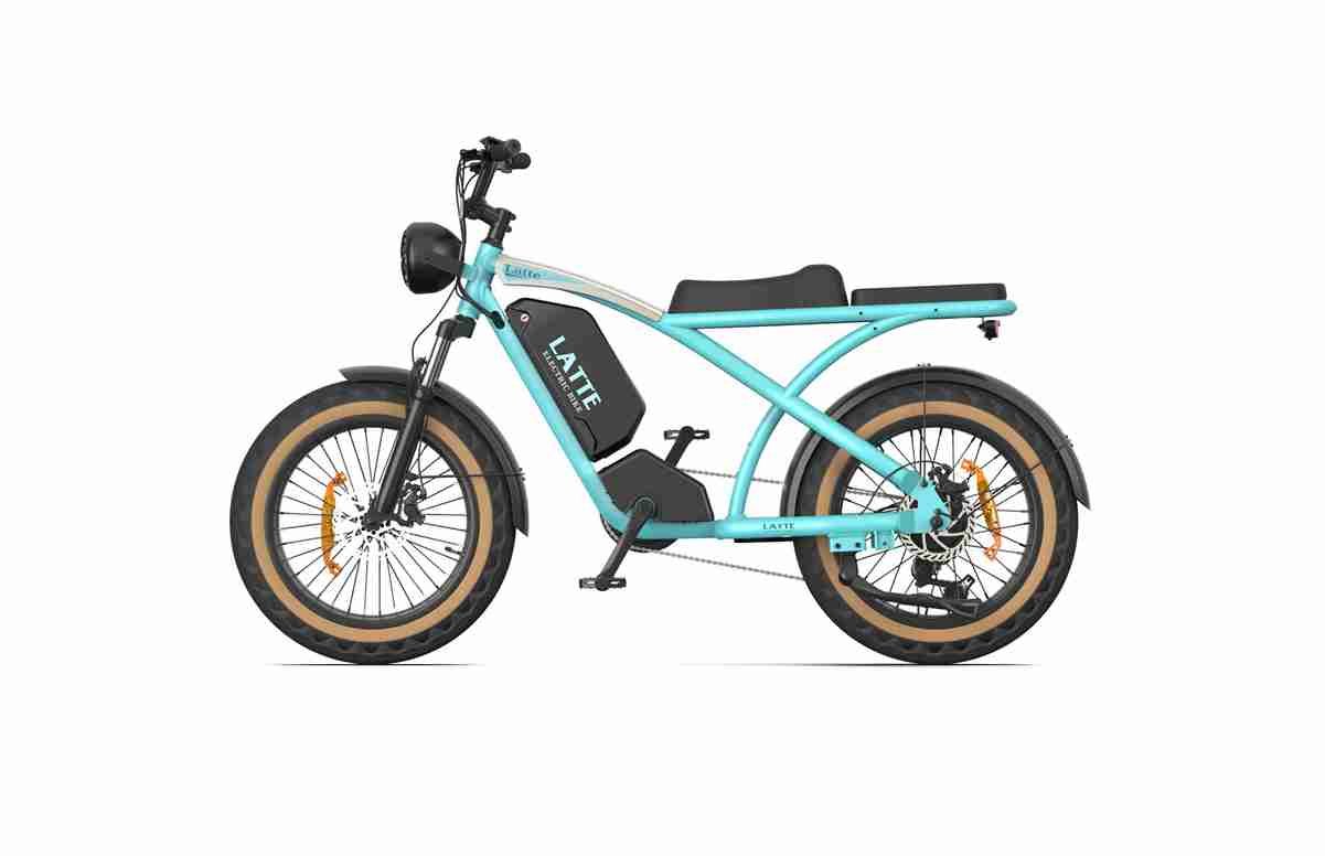 Lightweight Electric Bike Folding dealers