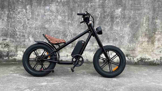 Longest Range Folding Electric Bike dealers