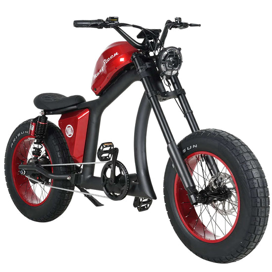 Mangosteen FT02 Fat Tire E-Bike 25km/h CE EU – For Sale