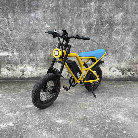 Mens Electric Bike dealers