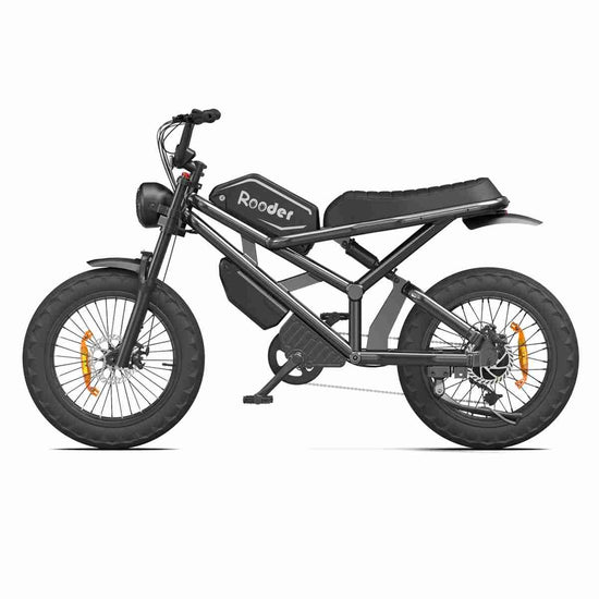 Most Powerful Folding Electric Bike dealers