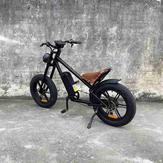 New Electric Bike dealers