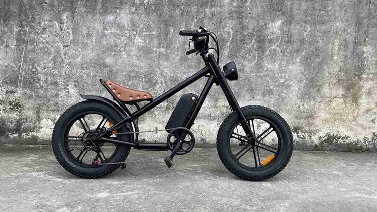 Powerful Folding Electric Bike dealers