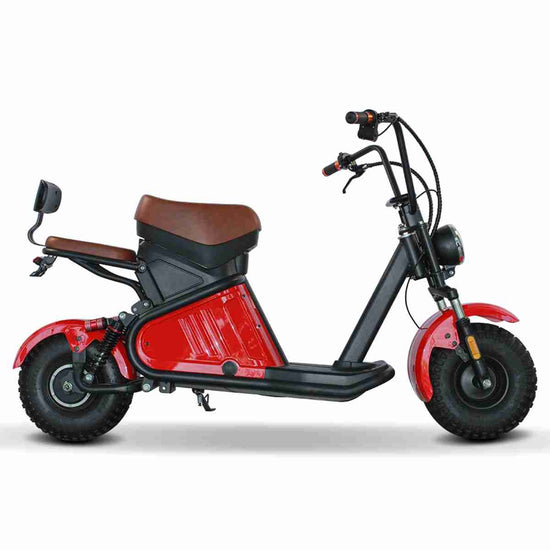 Rooder citycoco Electric Scooter dealers