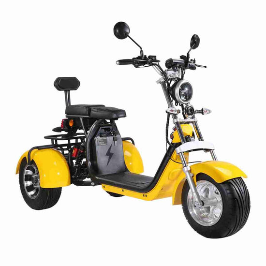 Rooder citycoco Scooter dealers