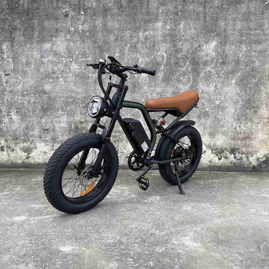 Single Speed Ebike dealers