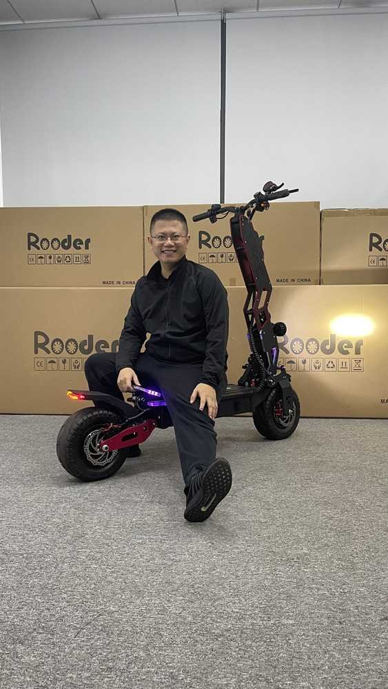 Stand Up 3 Wheel Electric Scooter dealers