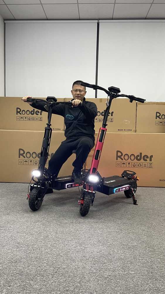 Stand Up Adult Electric Scooter dealers