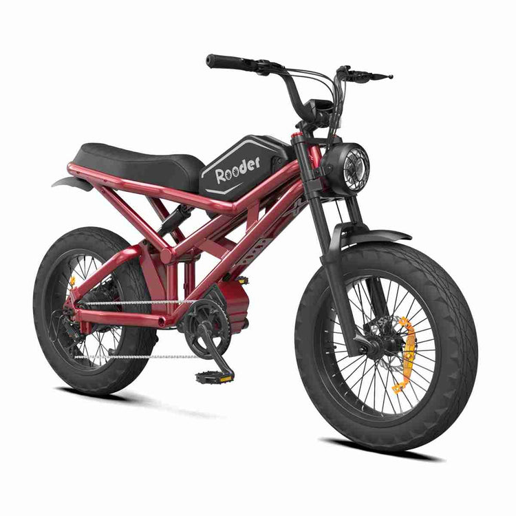 Top Fat Tire Electric Bikes dealers