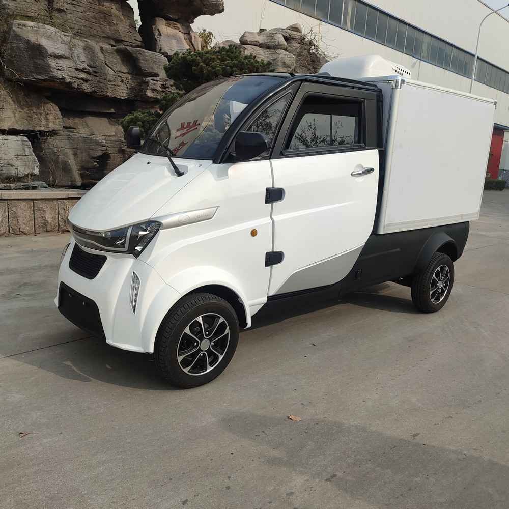 company electric vehicle factory price