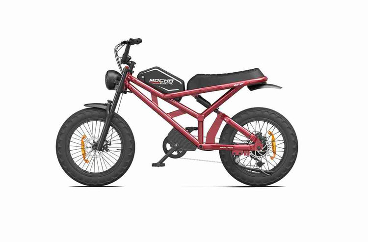 belt drive ebike dealers