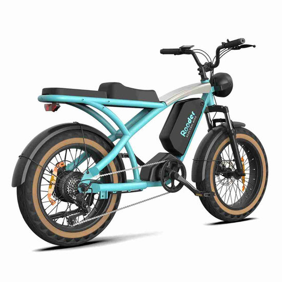 best 1000 watt electric bike dealers