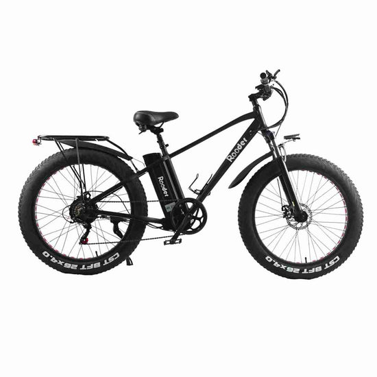 best 750 watt electric bike dealers