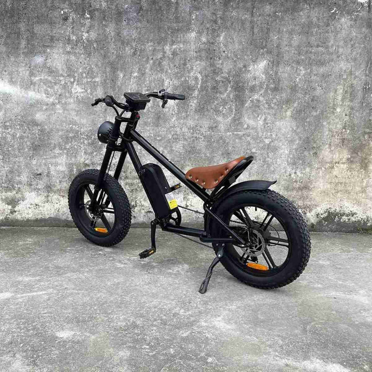 best electric bikes 2024 dealers