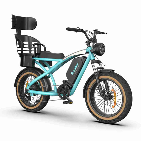 carbon fiber ebike dealers