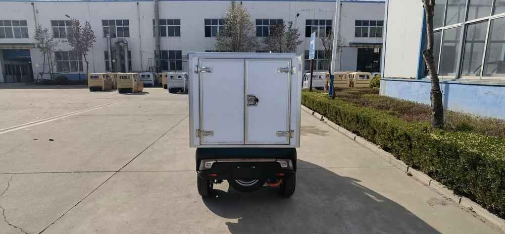 electric vehicle in europe factory price