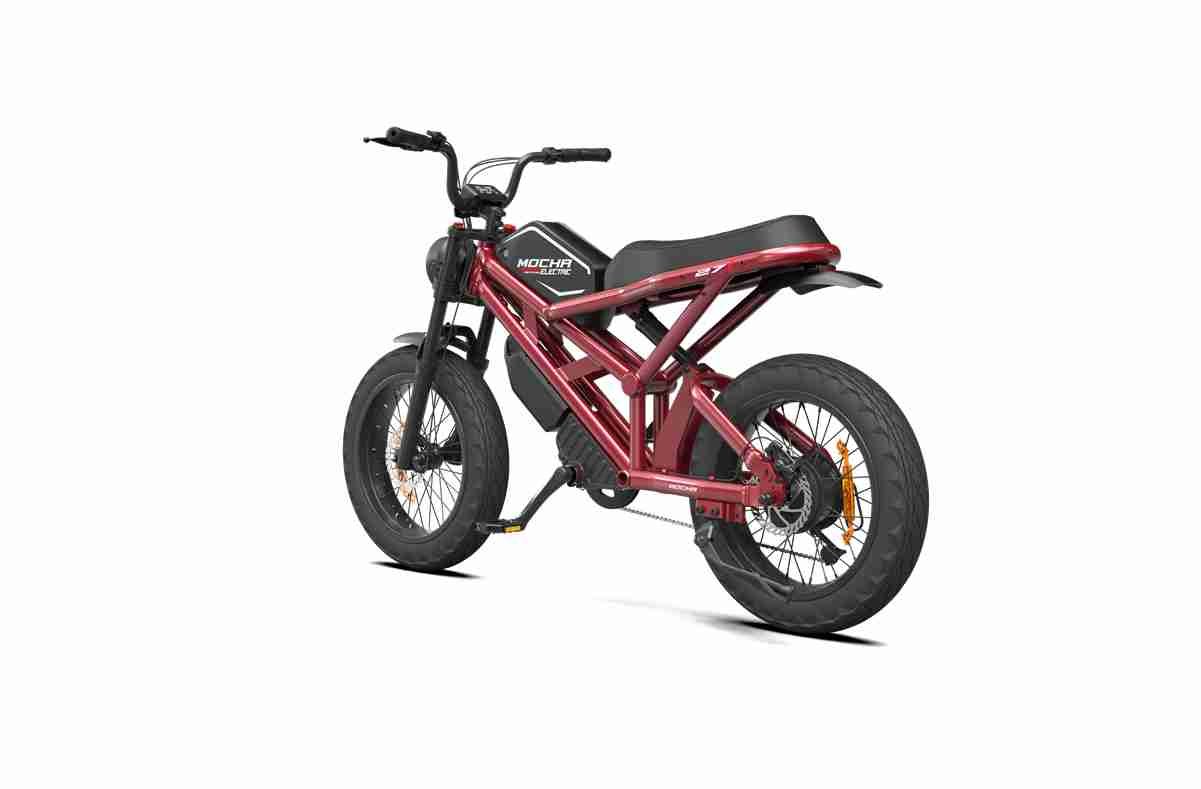 electric bicycles for adults dealers