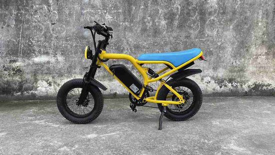 electric bike cost dealers