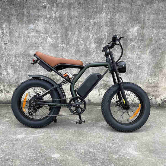 electric bike for adults dealers