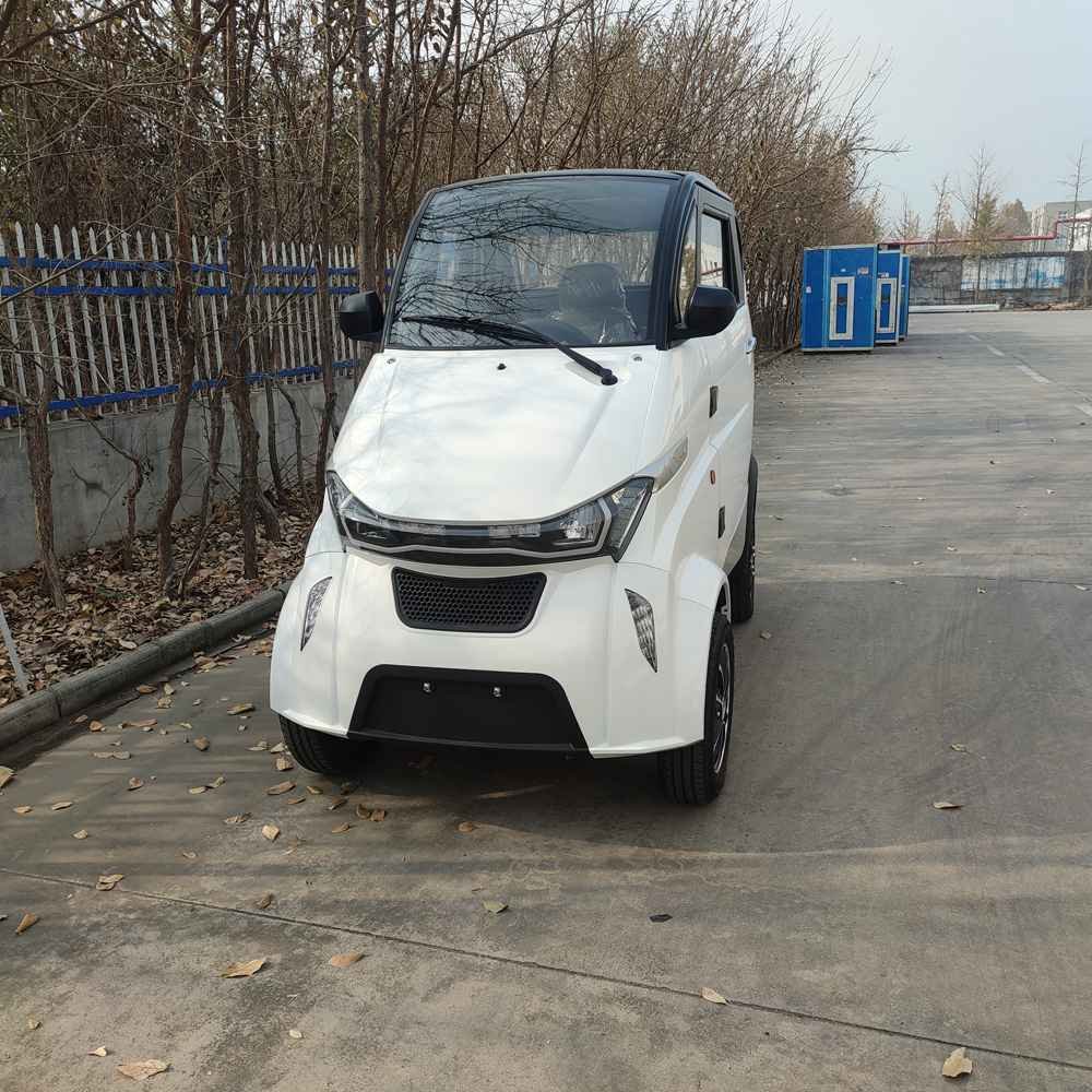 electric car range 2024 factory price