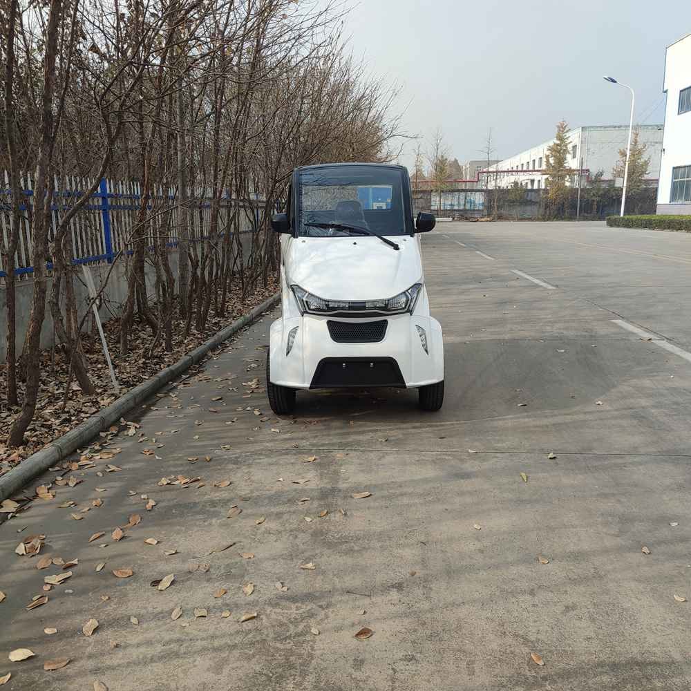 electric van cars factory price