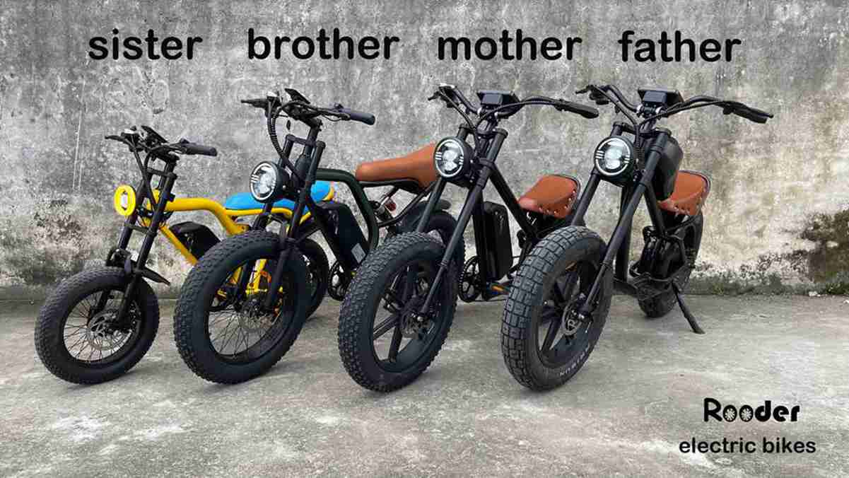 Load video: electric bikes factory