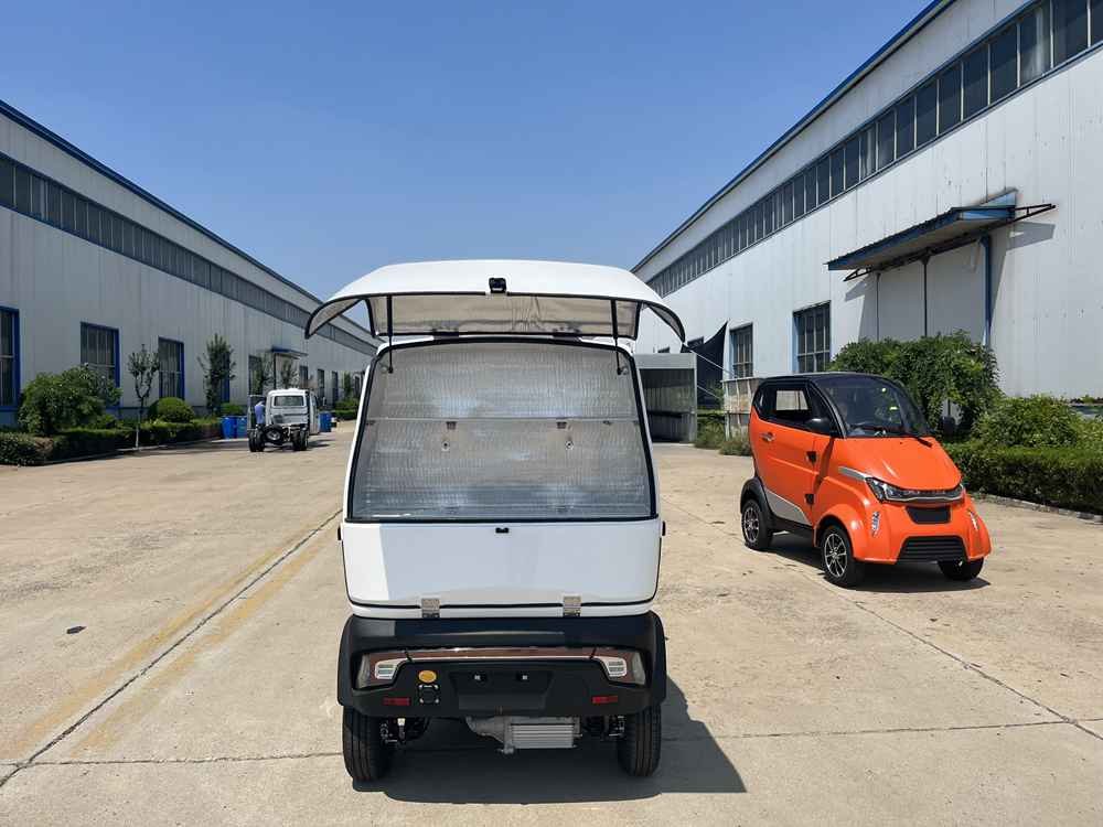 electric car company in china factory price