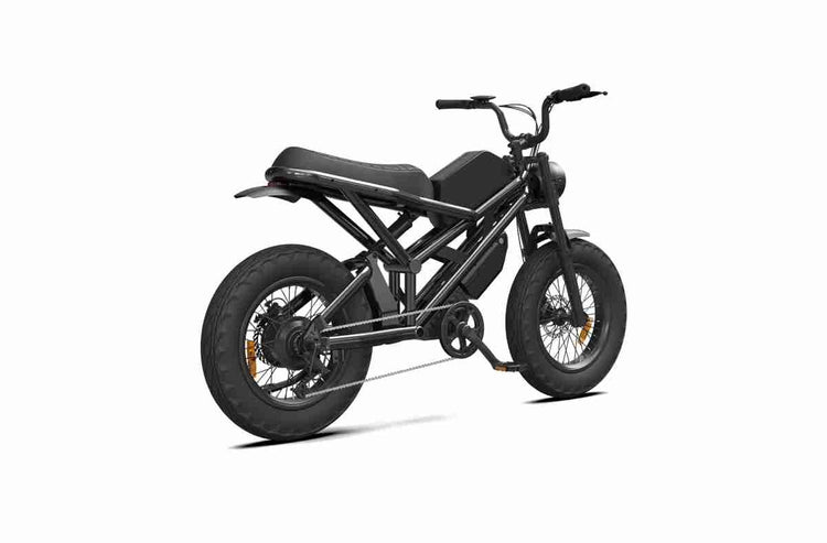 folding fat bike dealers